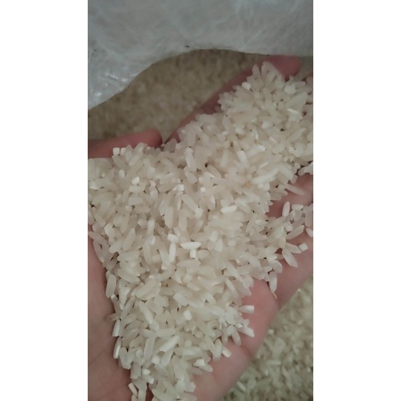 

Beras IR 64 Kemasan 5 KG Langsung dari Petani