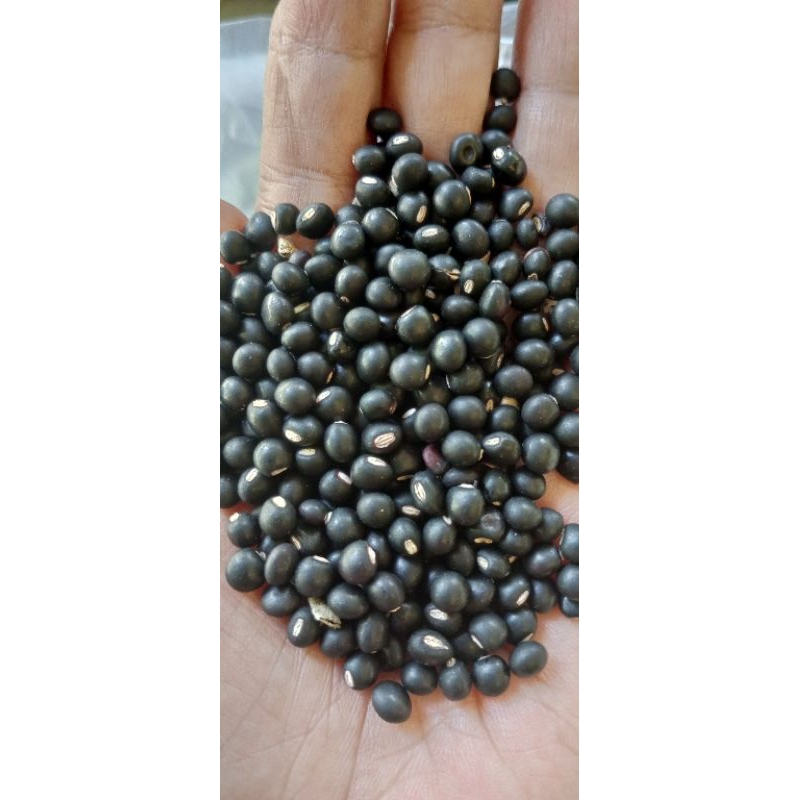 

Kacang gude hitam kering 250 gr