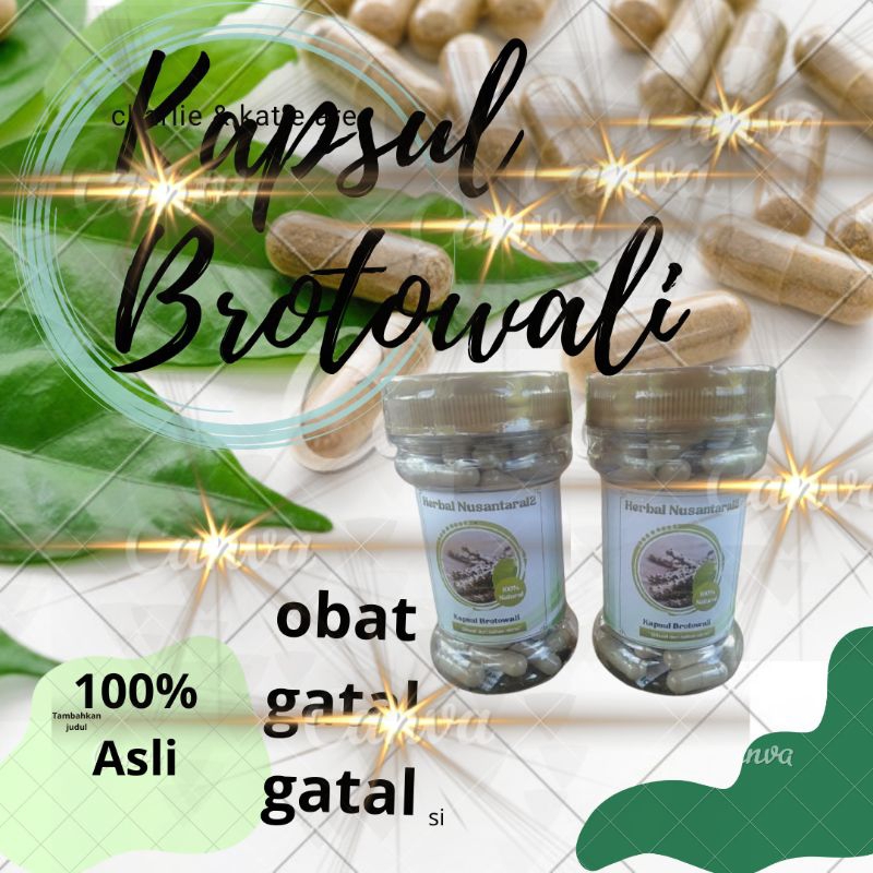 Kapsul brotowali obat gatal gatal eksim biduran isi 100 butir