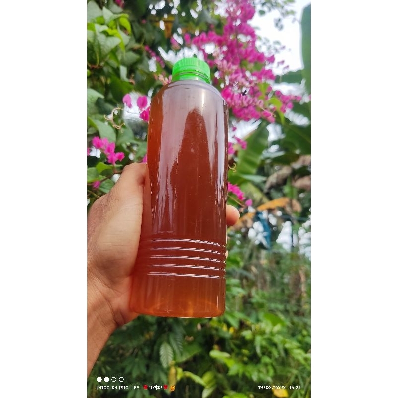 

madu hutan asli pedalaman/trigona/klanceng/kele-kele