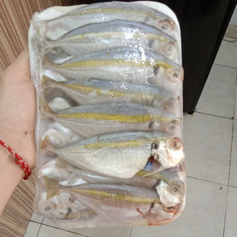 

Ikan Selar 500gr
