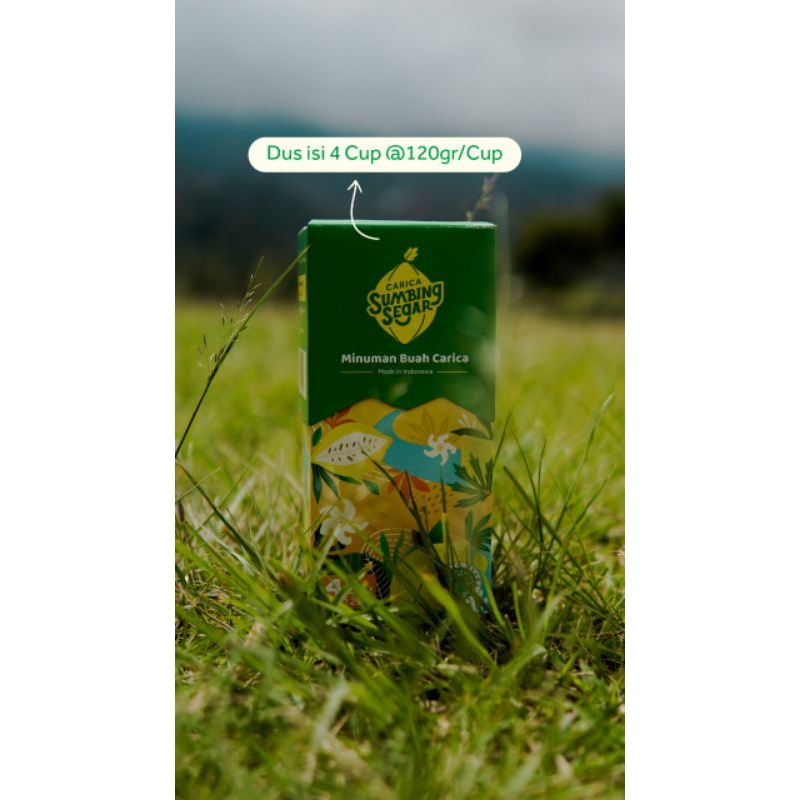 

Carica Dieng sumbing segar