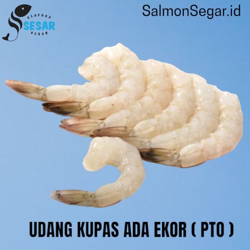 

Udang Kupas Beku IQF Ada Ekor (PTO) - Seafood 1kg