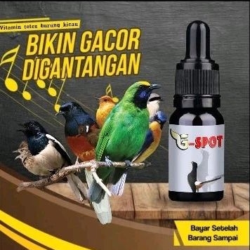 G-spot Gspot vitamin suplemen penggacor burung murai kacer cucak ijo