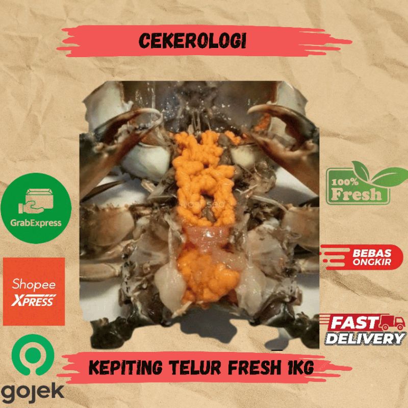 

Kepiting Telur Fresh 1kg / Kepiting Bertelur / Kepiting Bertelur Fresh Berkualitas / JABODETABEK / Seafood Segar / Seafood