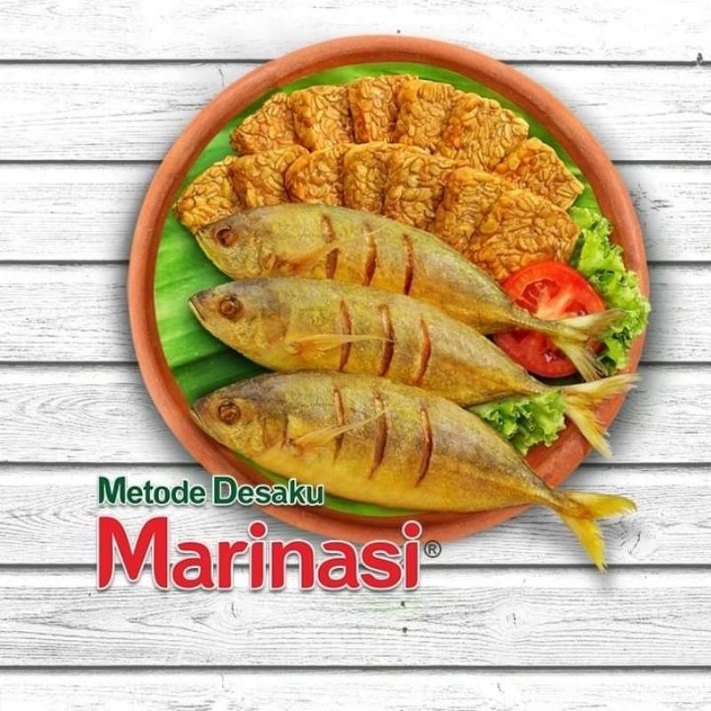 

MARINASI BUMBU RACIK UNTUK IKAN TEMPE TAHU AYAM DLL 1renteng isi10 sachet