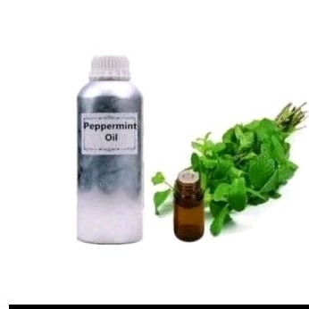 

peppermint oil pure minyak peppermint 1liter