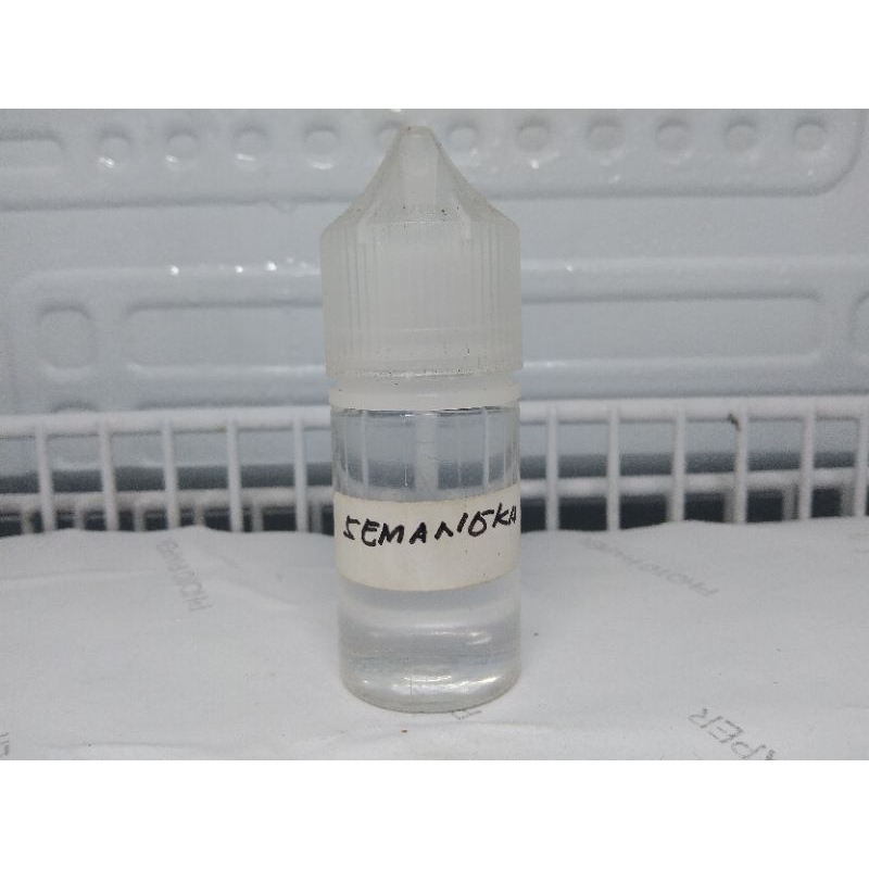 biang Essen murni aroma semangka