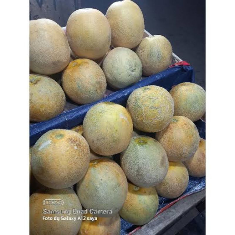 

Melon madu super manis ( 1 buah utuh) Berat : 2 Kg - 2.5 Kg tergantung stok