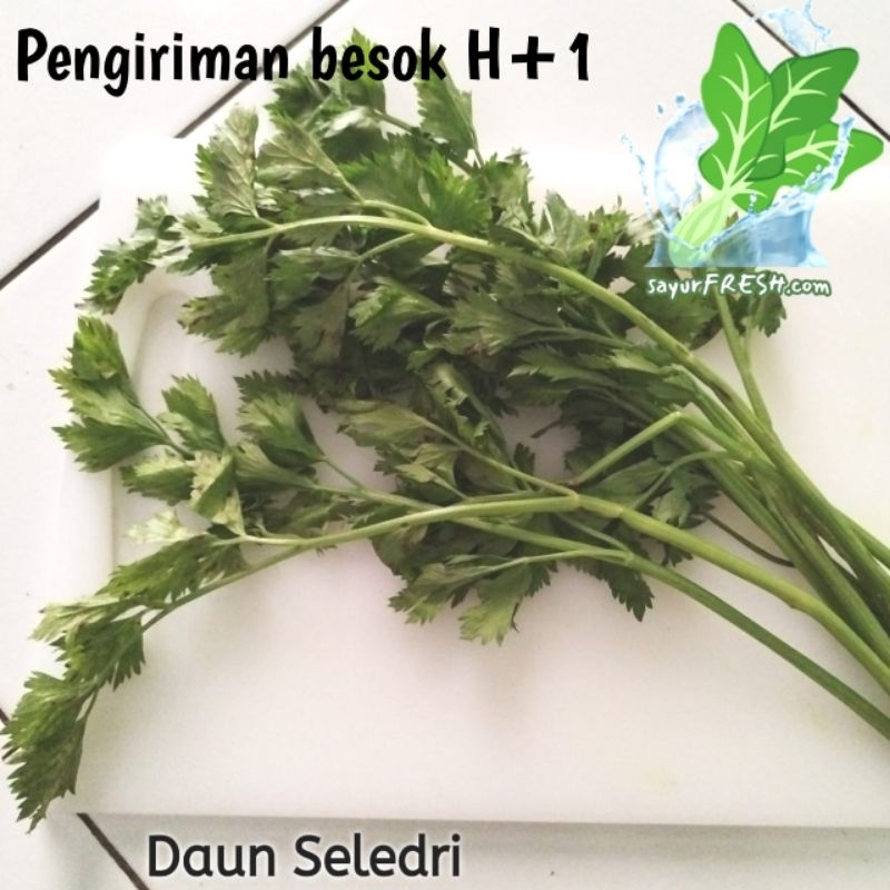 

Daun Seledri Per ikat