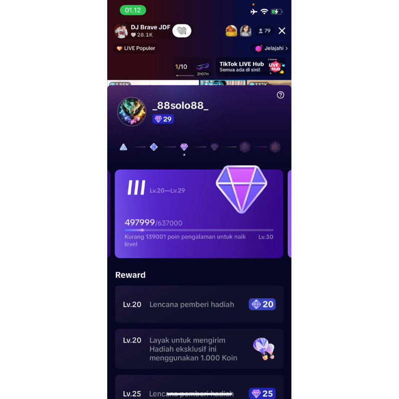 jual akun tik tok level 29