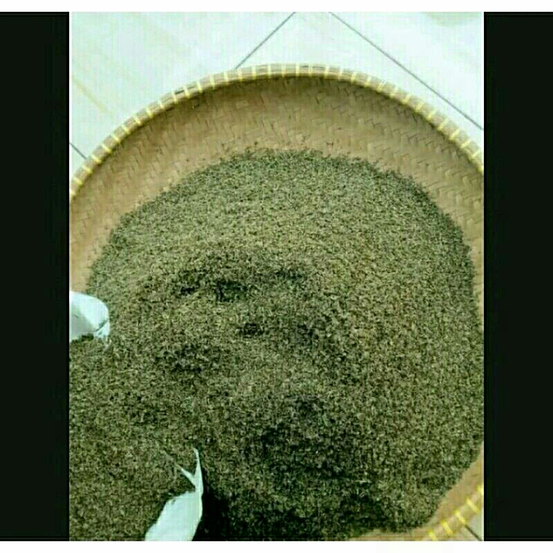 Bibit / Benih Wortel Brastagi ORIGINAL 100%