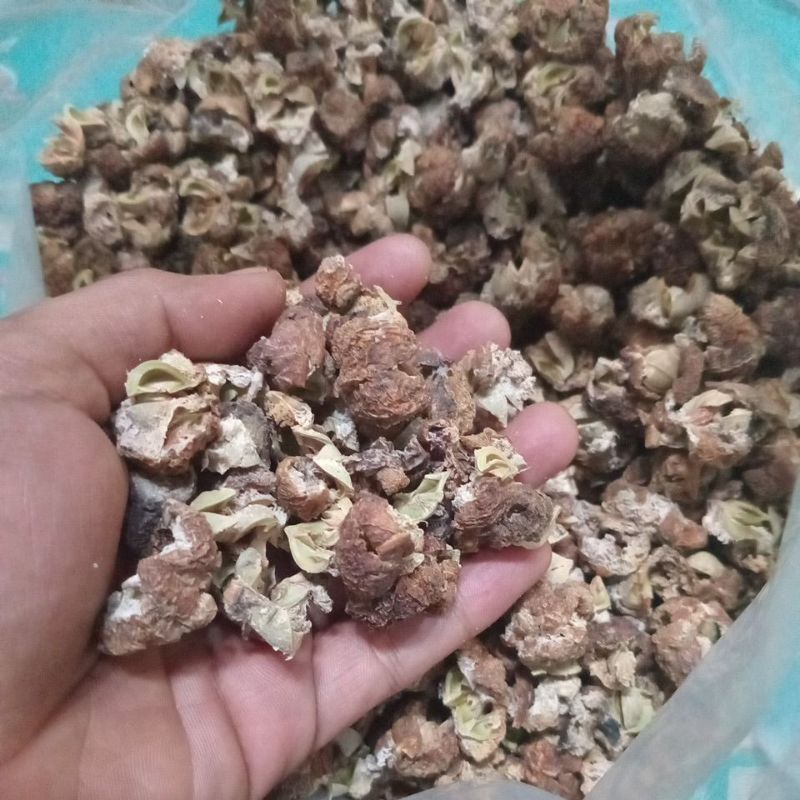 

Buah Malaka / Amla Kering Panen Baru 100gr