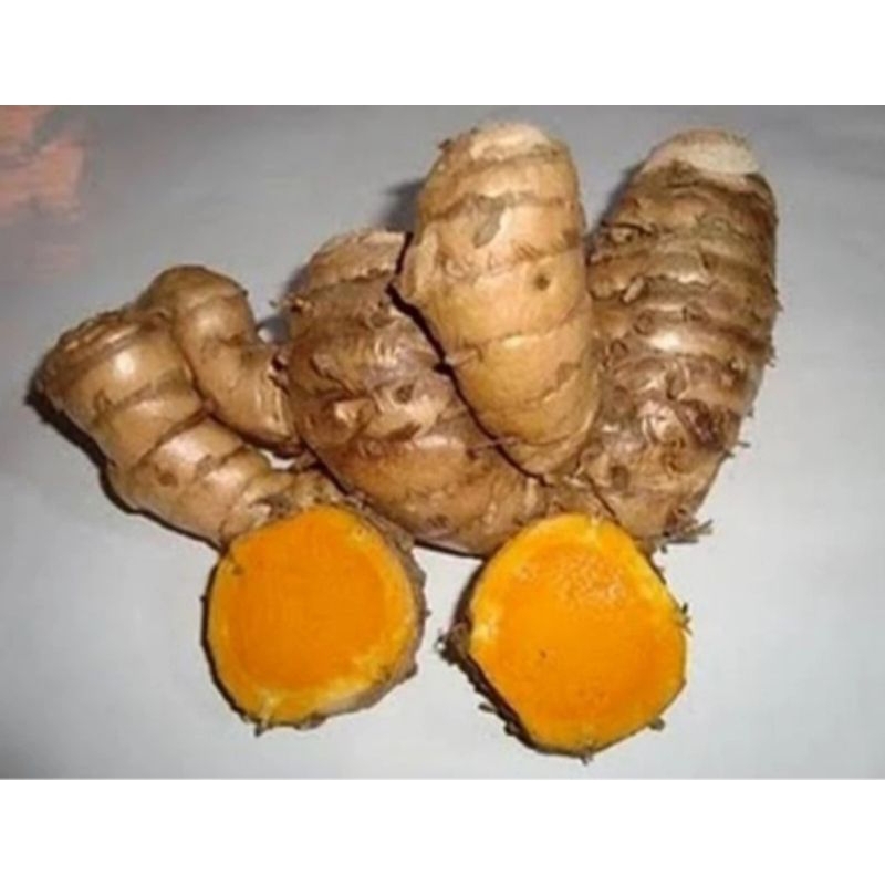 

Temulawak 1 kg