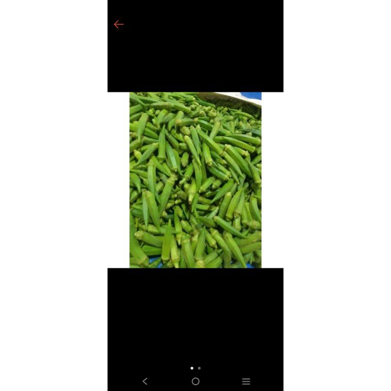 

sayuran okra hijau