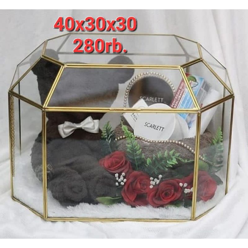 

box seserahan terarium