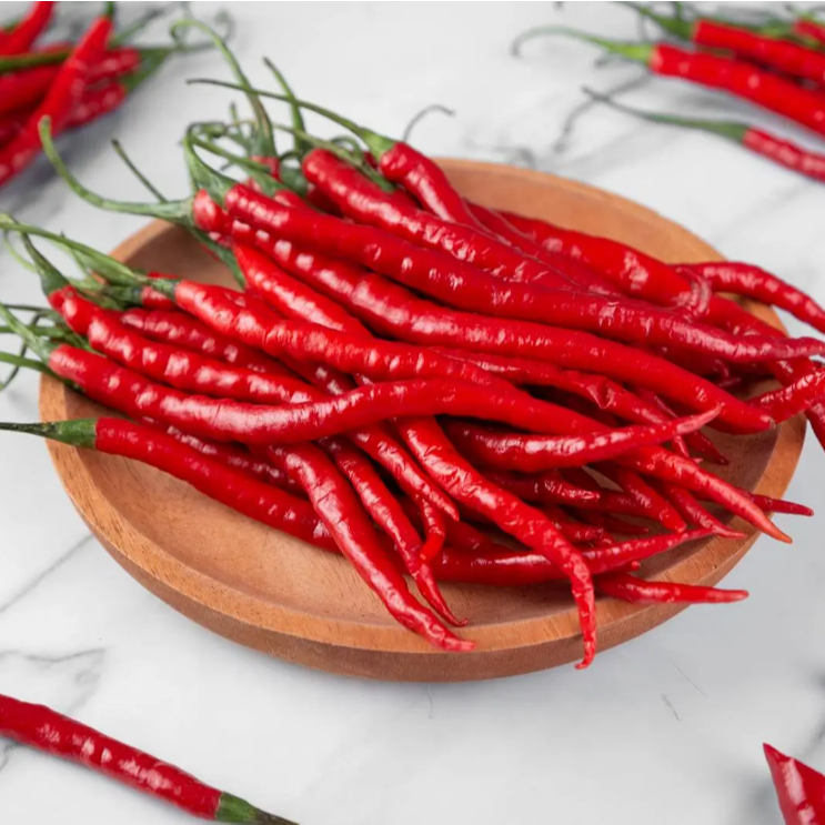 

KIRIM INSTAN Cabe Kriting Fresh