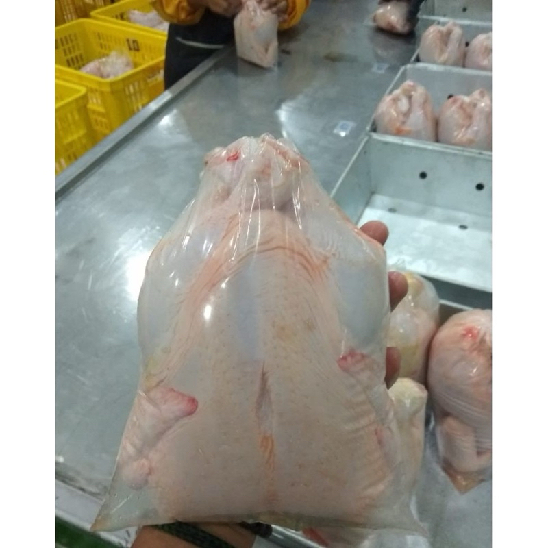 

ayam broiler utuh frozen murah -/+ 0,8-0,9 gram