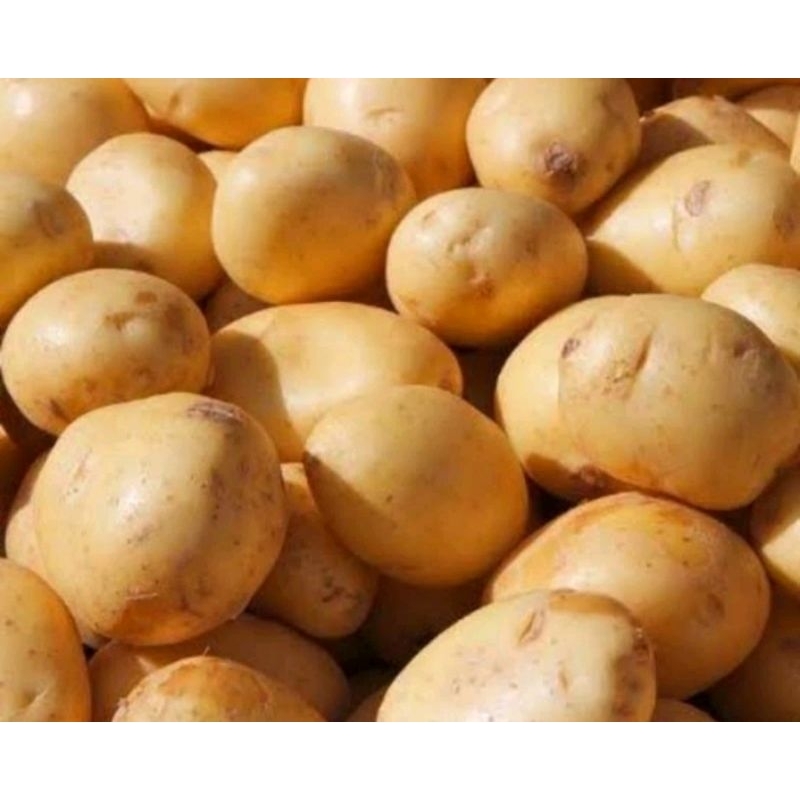 

kentang pulen 1kg