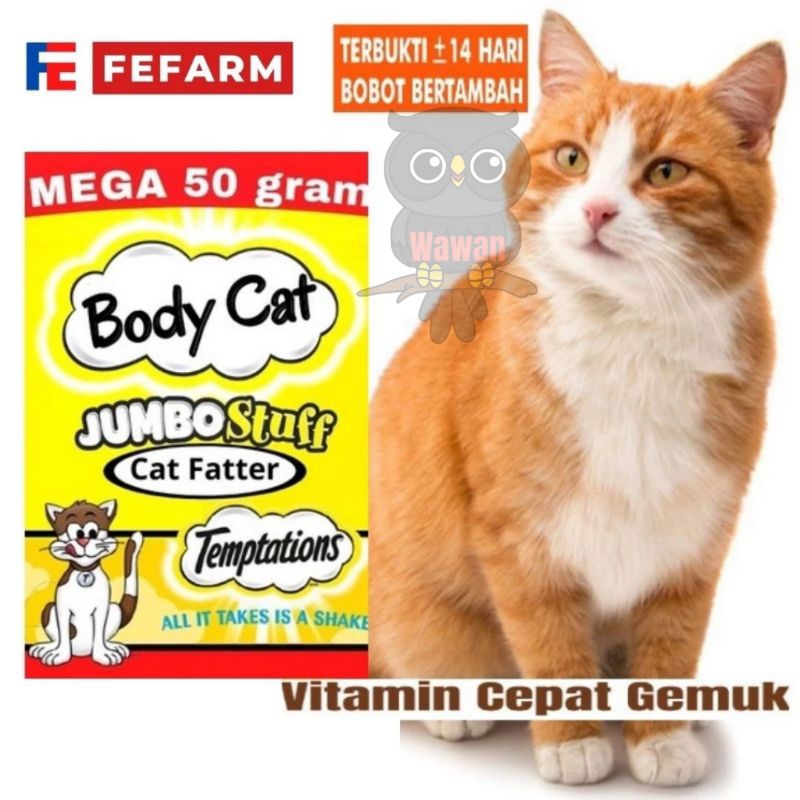 body cat susu penggemuk kucing / anakan / dewasa / susu kucing