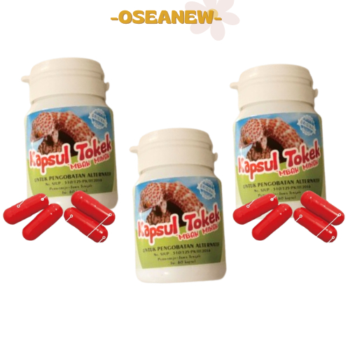 TOKEK MBAH MINAH KAPSUL ISI 30 / OBAT GATAL KAPSUL TOKEK MBAH MINAH ASLI AMPUH / DAGING TOKEK ASLI