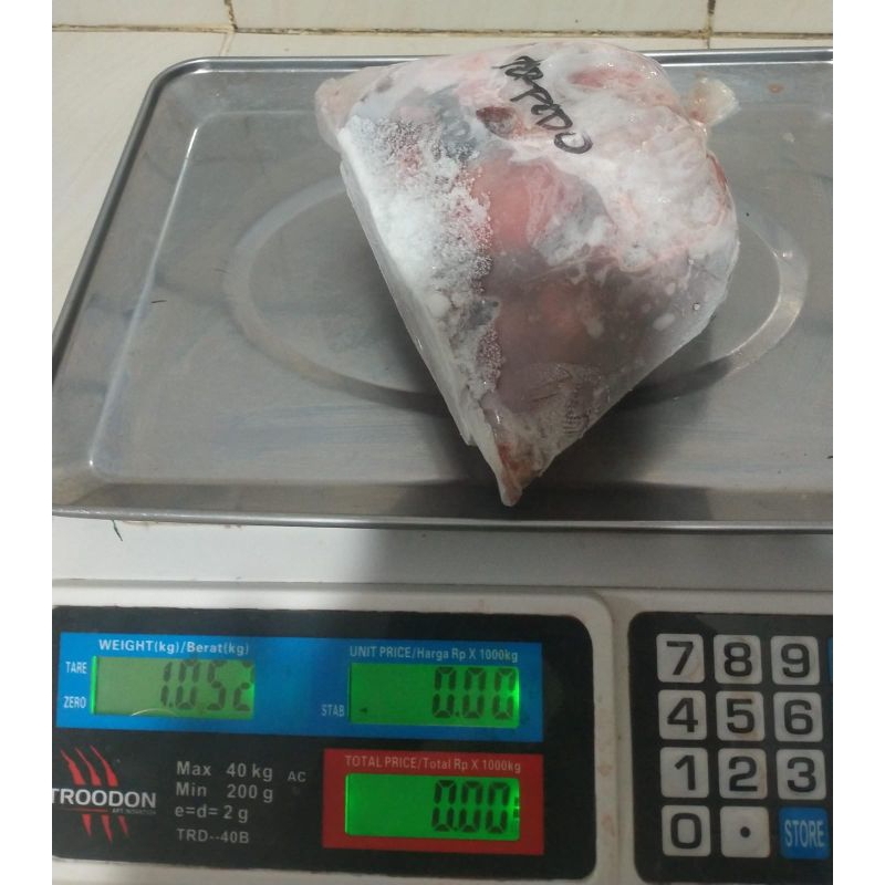 

Torpedo kuda per set