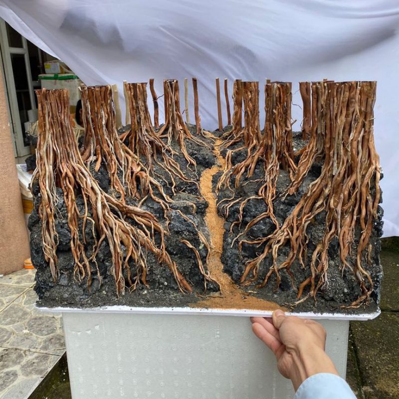 HARDSCAPE JUNGLE AQUARIUM AQUASCAPE JUNGLE AQUARIUM AQUASCAPE ELEGAN AQUARIUM AQUASCAPE JUNGLE