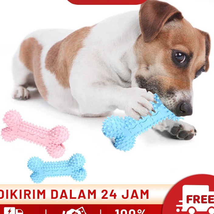 MEGA SALE FOLOPETS Mainan Gigit Anjing Tulang Karet Elastis Tahan Banting Dog Toy