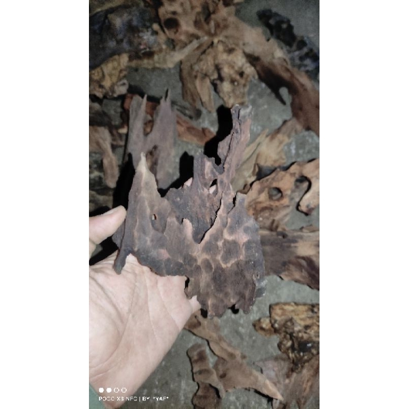 kayu rentek aquarium size s