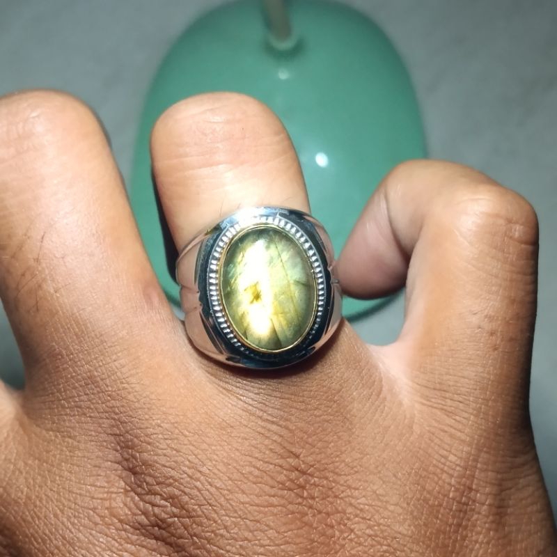 Labrador ring monel 8