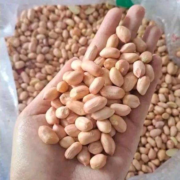 

Kacang tanah lokal 1kg