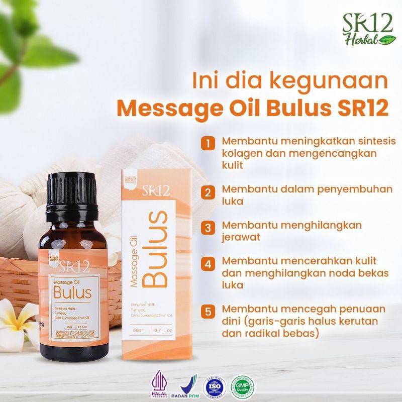 

Sr12 minyak bulus wangi mengencangkan kulit minyak gatal gatal atasi keloid bekas jerawat bekas luka