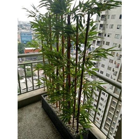 Bambu Partisi Artificial T 170cm POT COR ( OUTDOOR / TAHAN AIR ) Hiasan Dekorasi Rumah Penyekat Pemb