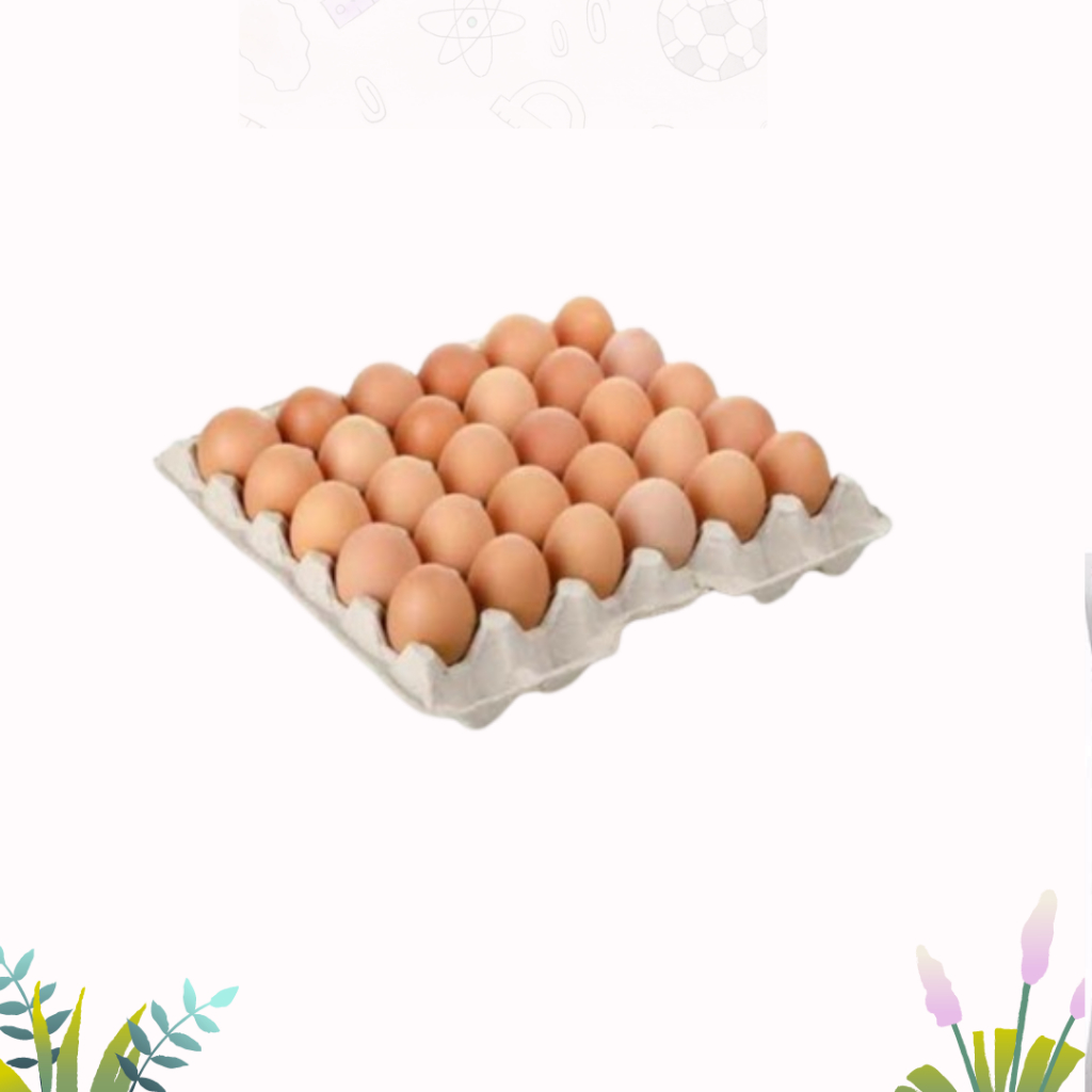 

Telur Ayam (500gr) Termurah Grosir (Khusus INSTAN /GRAB INSTAN / GOSEND)