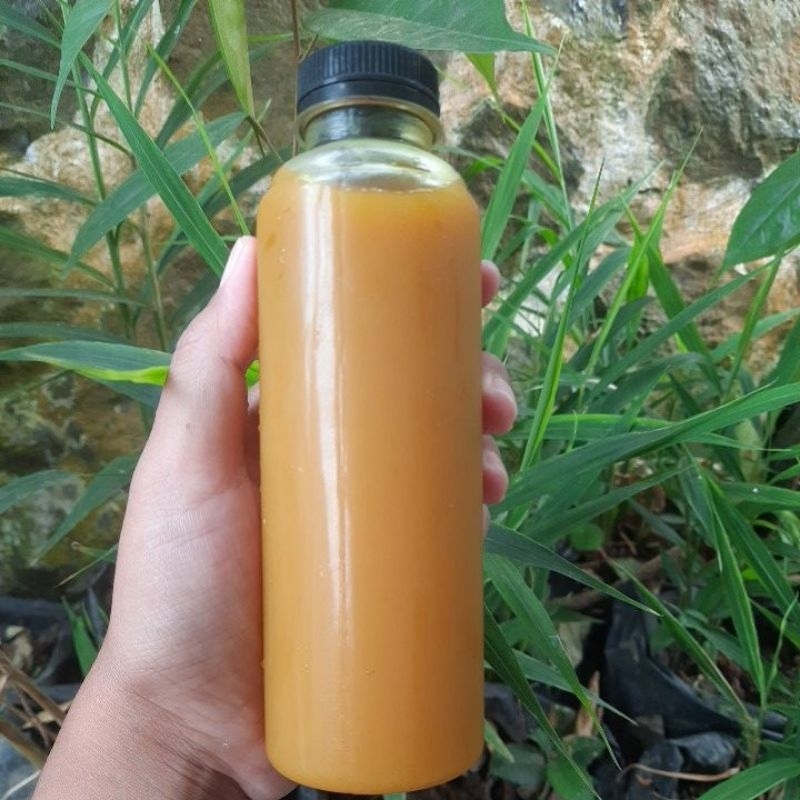 

Jamu Kunyit (Curcuma longa Linn.)