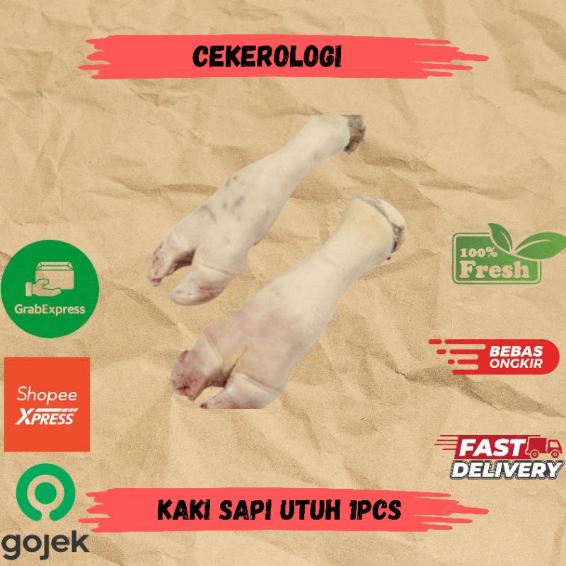 Kaki Sapi Utuh 1pcs / Kaki Sapi Utuh / Kaki Sapi / Kaki Sapi Fresh Berkualitas / JABODETABEK / Dagin