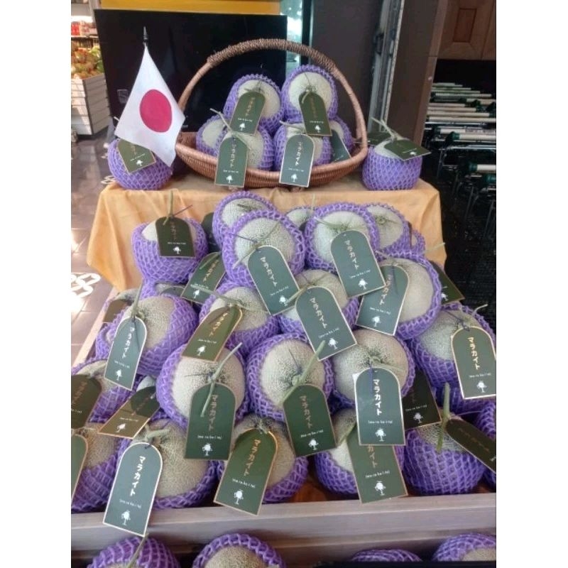 

BUAH MELON MARAKAITO SUPER MANIS |MELON MANIS LEMBUT DAGING HIJAU |PCS