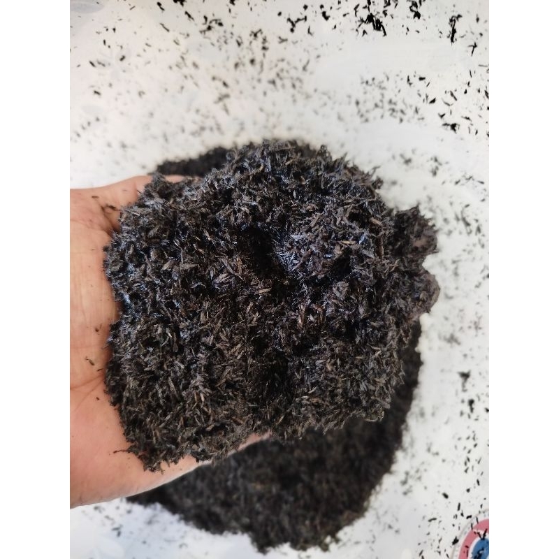 DUPADAU Buhur Bukhur Bakhoor KASTURI KIJANG