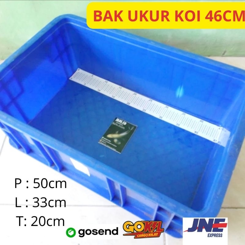 BAK UKUR IKAN KOI 46CM BAHAN PLASTIK PxLxT 50x33x20CM + STIKER UKUR ANTI AIR