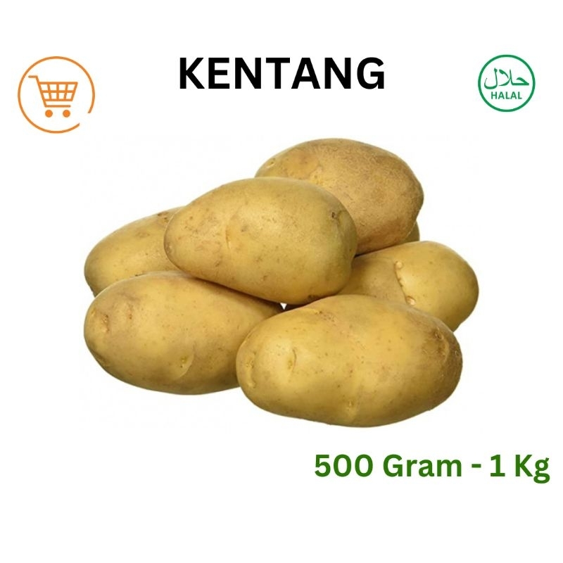 

Kentang Berkualitas 500 Gram - 1 Kg