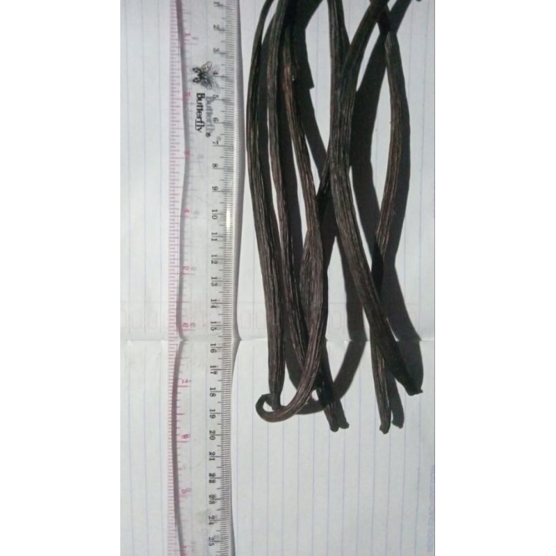 

Vanila Bean grade b 10gr