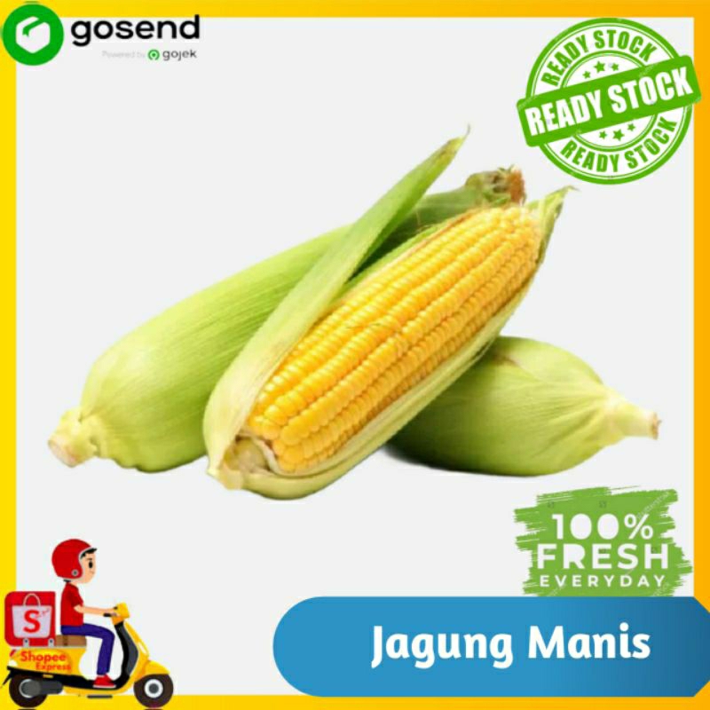 

Jagung manis - sayur segar - Tukang Sayur Palembang