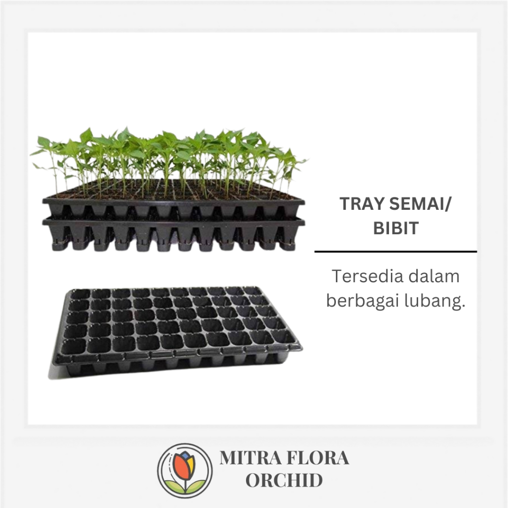 Tray Semai/ Bibit