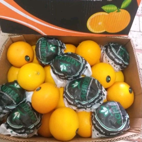 

SUNKIST PALENSIA MANIS SEGAR