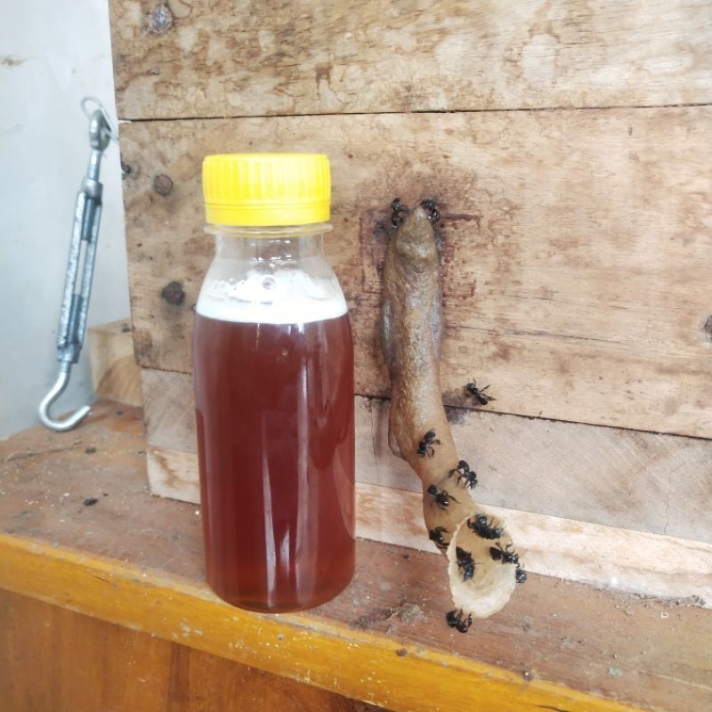 

madu tawon klanceng kelulut trigona itama asli murni 100% tanpa campuran kemasan ekonomis botol 125ml berat bersih 150grm