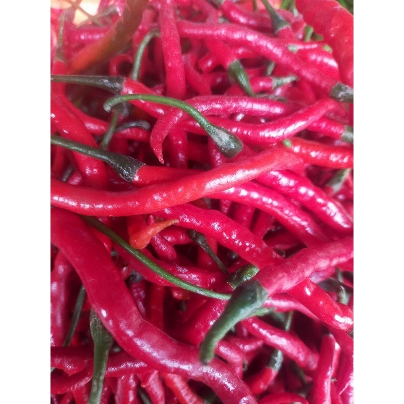 

cabe merah 250g