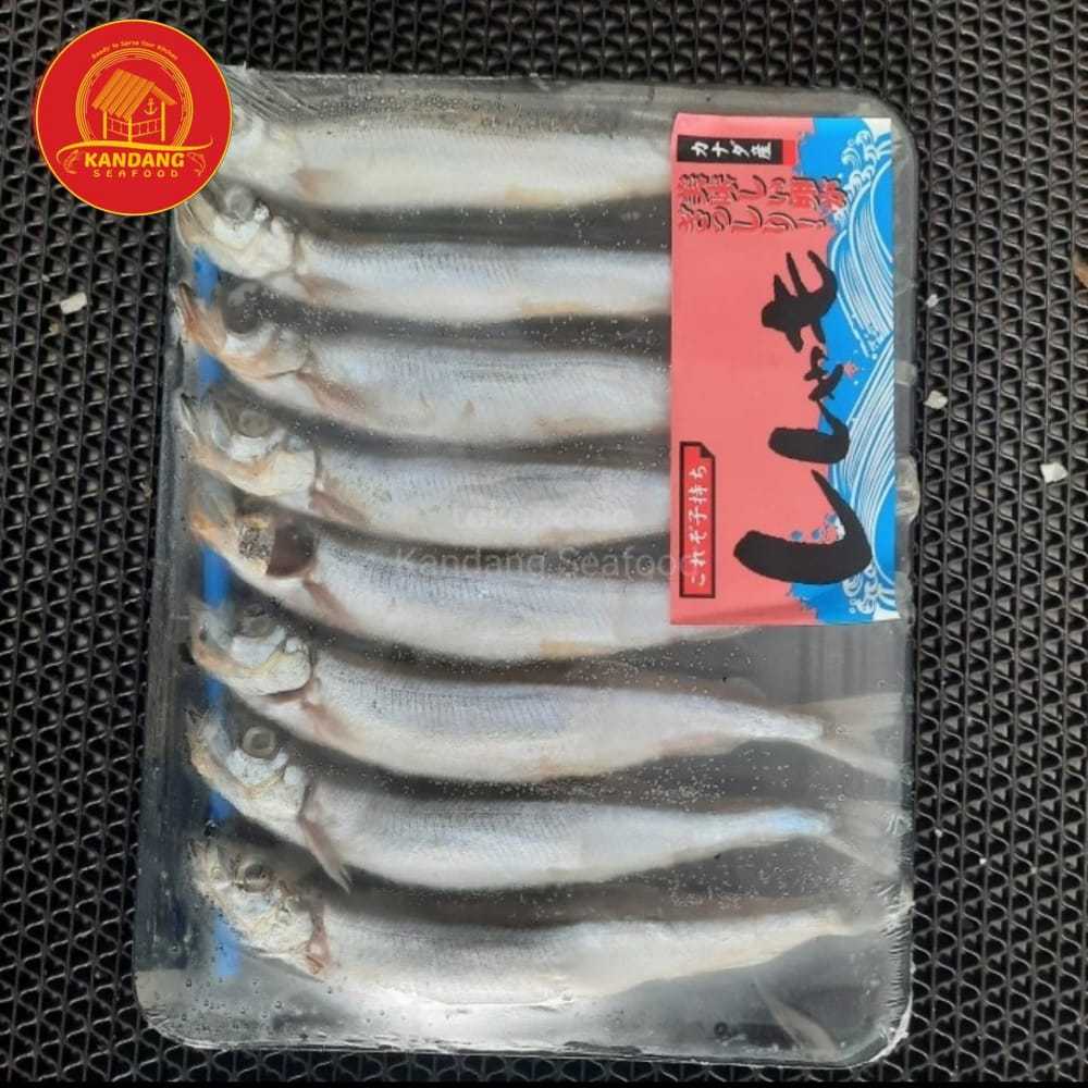 

Ikan Shisamo / Shisamo Fish / Ikan Capelin Per Pack
