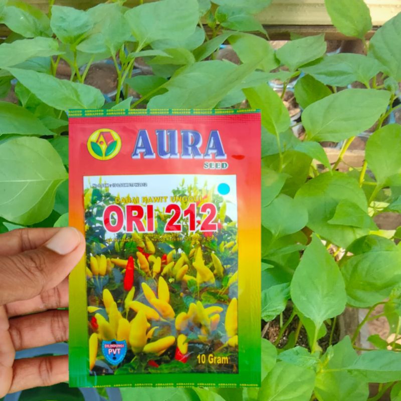 BENIH CABE RAWIT UNGGUL ORI 212 ORIGINAL