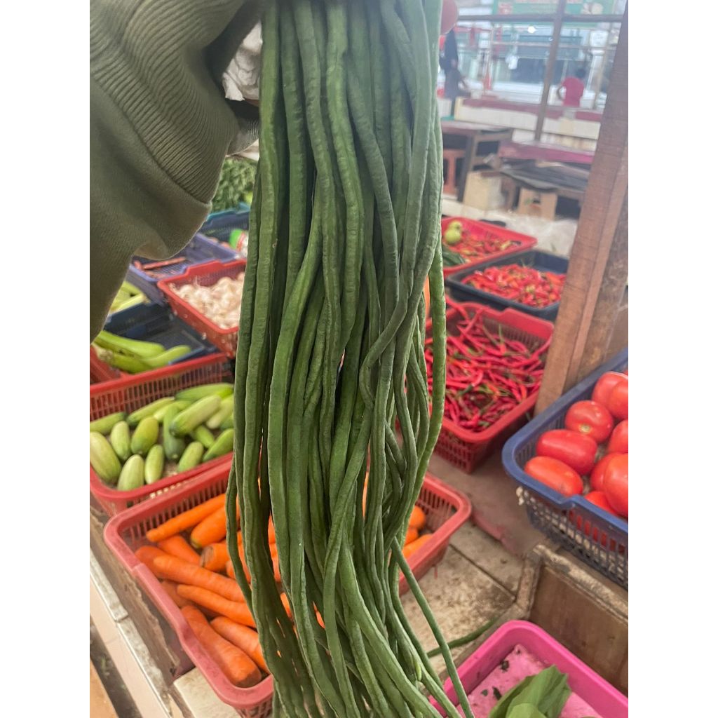 

KACANG PANJANG 500gram