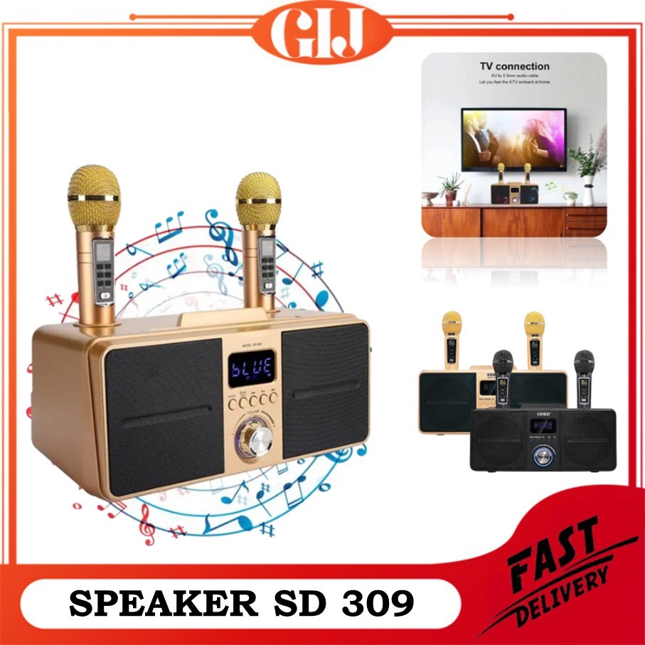 Speaker Bluetooth Karaoke SDRD SD 309 Wireless Mic Karaoke Dual Mikrofon Nirkabel Bluetooth